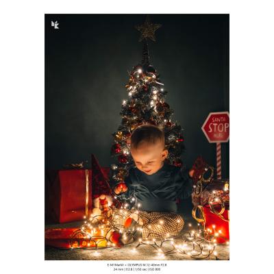 Fotografia Rodzinna Lifestyle 34