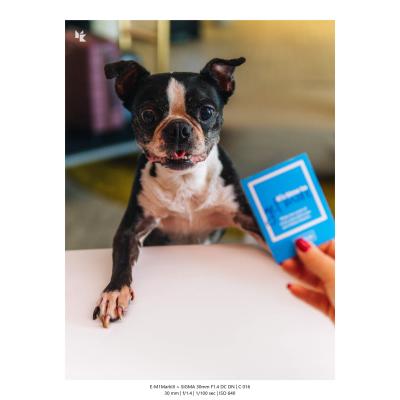 Fotografia Hotele Restauracje 11