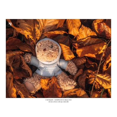 Fotografia Hotele Restauracje 49