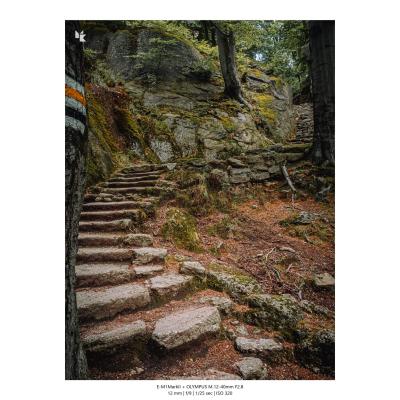 Fotografia Krajobrazy Natura 02