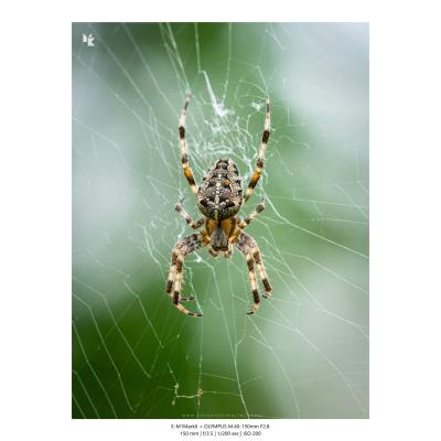 Fotografia Krajobrazy Natura 04