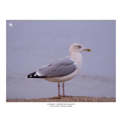 Fotografia Krajobrazy Natura 09