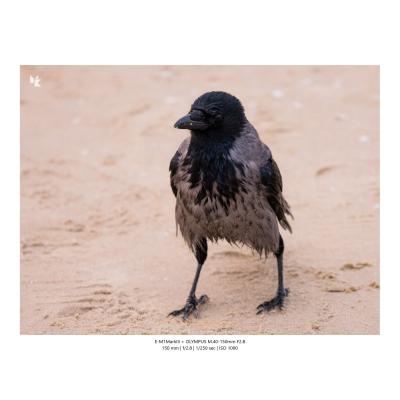 Fotografia Krajobrazy Natura 10