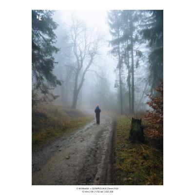 Fotografia Krajobrazy Natura 12