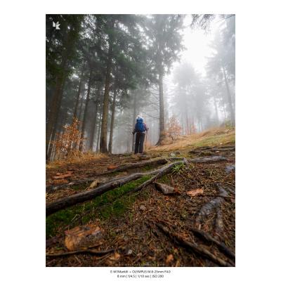 Fotografia Krajobrazy Natura 13