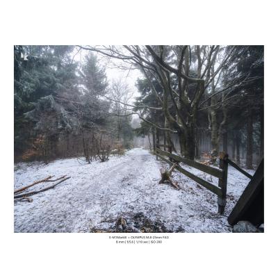 Fotografia Krajobrazy Natura 17