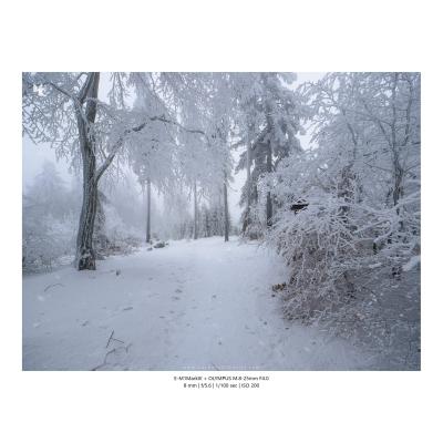 Fotografia Krajobrazy Natura 18