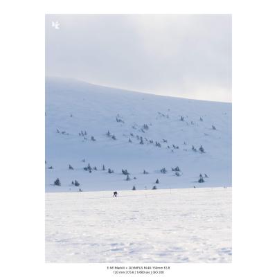 Fotografia Krajobrazy Natura 19