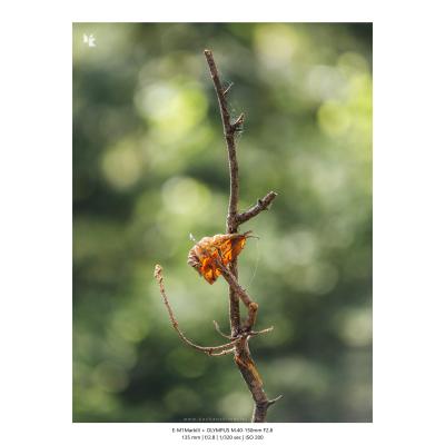 Fotografia Krajobrazy Natura 22