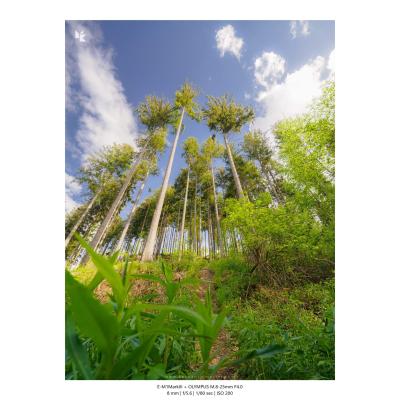 Fotografia Krajobrazy Natura 23