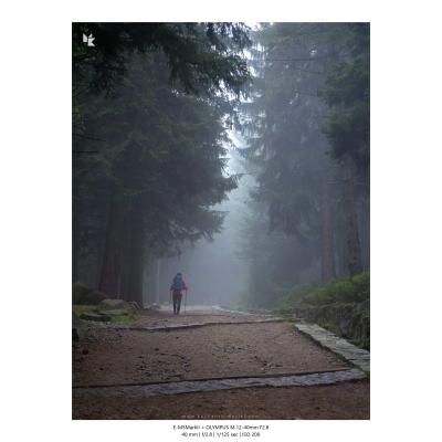 Fotografia Krajobrazy Natura 25