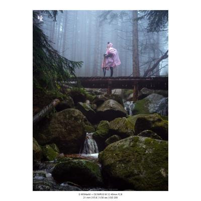 Fotografia Krajobrazy Natura 26