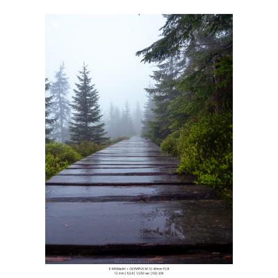 Fotografia Krajobrazy Natura 27