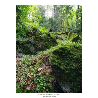 Fotografia Krajobrazy Natura 30