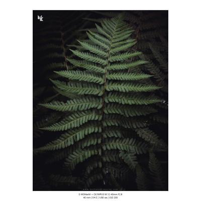 Fotografia Krajobrazy Natura 36