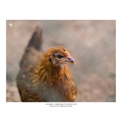 Fotografia Krajobrazy Natura 45