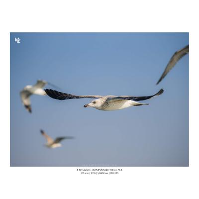 Fotografia Krajobrazy Natura 46