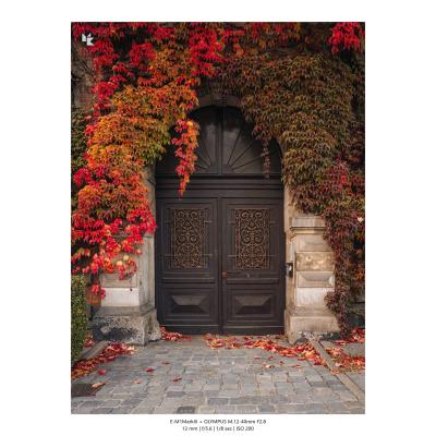 Fotografia Architektura 48