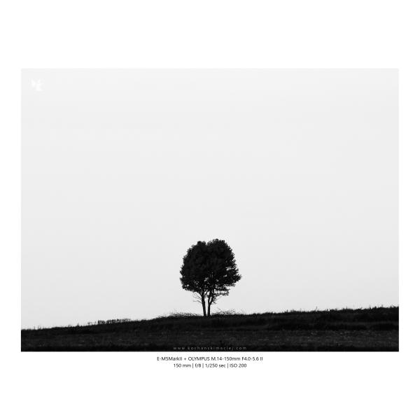 Olympus M Zuiko 14 150mm F4 5.6 Ii 06